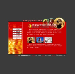 金正拍卖