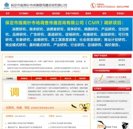 河北保定市场调查公司