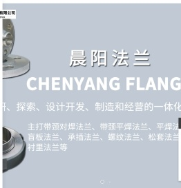 特殊钢法兰