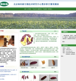北京绿丝路生物技术研究中心多彩甘薯采摘园