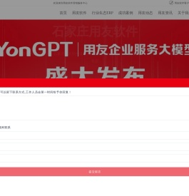 石家庄用友软件