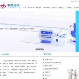 威海网络公司