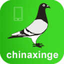 中信网信鸽园地