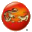 上海端午团购网