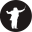 AUDIMAXIM