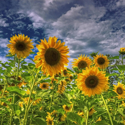 咨询服务电话：0871