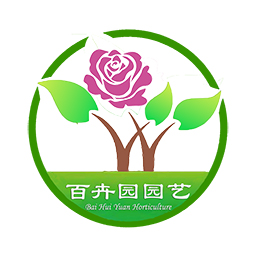 成都植物租赁公司