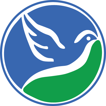 首页