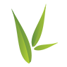 网站首页