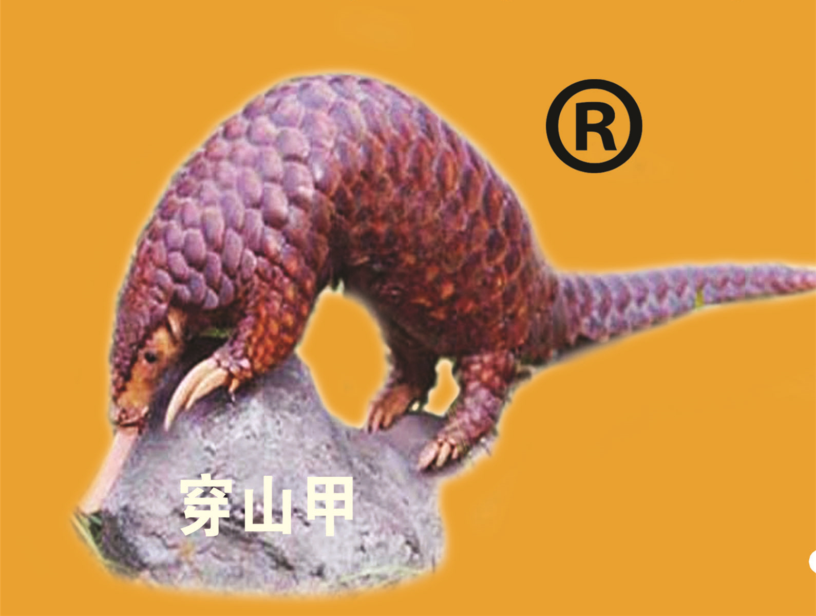 无声破碎剂