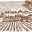 法国路易红酒