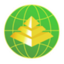 广东金砖天网信息科技有限公司