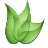 谷美生物