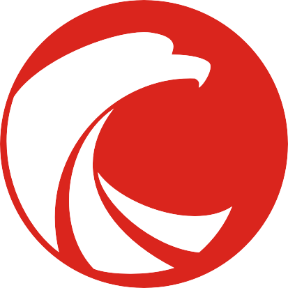 国电传播