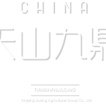 九鼎集团