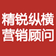 精锐纵横营销顾问