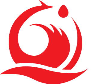 首页
