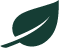 首页