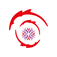 收藏雅集网
