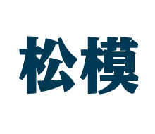 上海松模实业有限公司