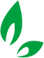 首页