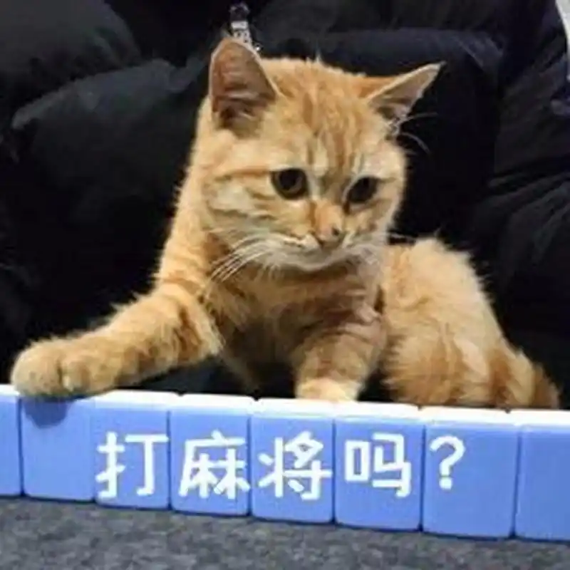 医院污水处理设备