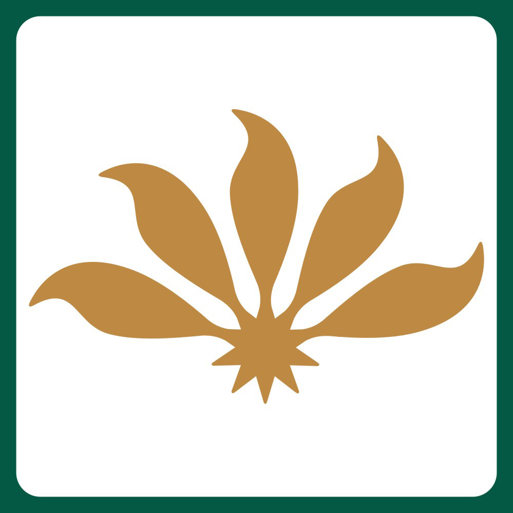 办公室绿植租摆,绿植盆景租赁