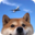 首页