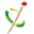 首页