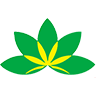 首页