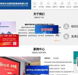 铜陵市国有资本运营控股集团有限公司