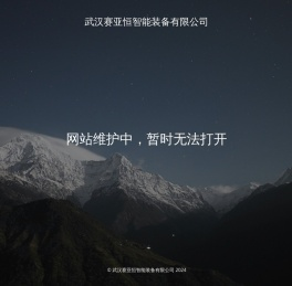 武汉赛亚恒智能装备有限公司