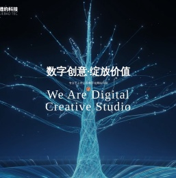 专注于为上市公司提供品牌营销建设方案