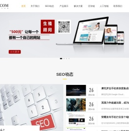 成都小松SEO,网站优化