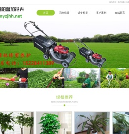 绵阳花卉租摆