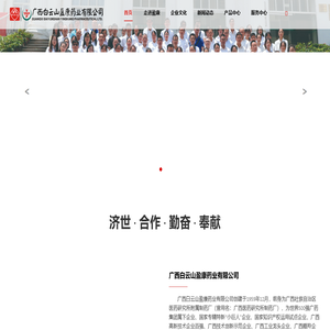 广西白云山盈康药业有限公司