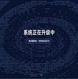派森编程