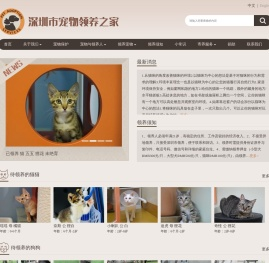 深圳宠物领养中心