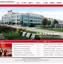 欢迎访问山东雷帕得汽车技术股份有限公司网站