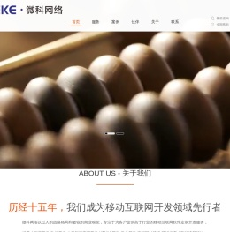 【微科网络（宁波）有限公司】宁波网站建设,宁波微信开发,外贸网站制作,微信公众号二次开发,网页改版,宁波域名注册,企业邮局,云服务,做网站