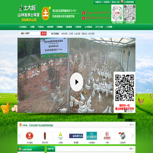 山林散养土鸡蛋