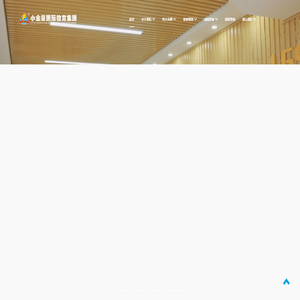 小金星国际教育集团