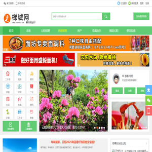 梯城网