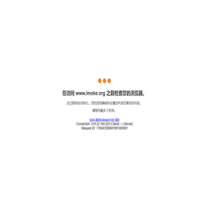 安全检查中……