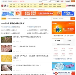 猪易网
