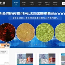 细胞来源,细胞培养步骤,细胞冻存步骤,细胞形态,细胞消化步骤,细胞传代培养