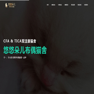 悠悠朵儿布偶猫舍
