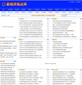 新经济视点网