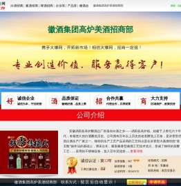 徽酒集团高炉美酒招商部(高炉美酒)