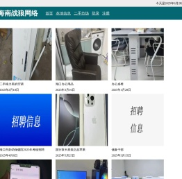 海南战狼网络科技有限公司